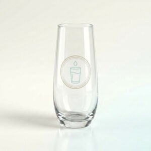 Stemless Champagne Flute Set (2)